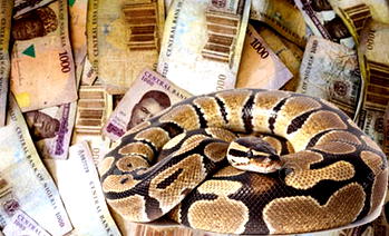 JAMB official makes U-turn, says N36m ‘collected by superior’ and not snake