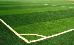 5 die in stampede after Angolan soccer match