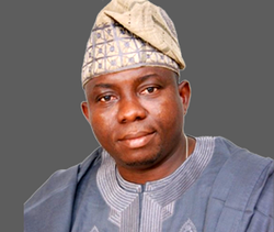 2019 GOV POLL: 7 parties endorse Ogun speaker