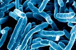 For 170,000 Nigerians to die from TB disease yearly, is unacceptable – Aisha Buhari