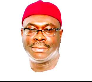 2019: Group throws weight behind Udensi as Abia State Gov