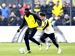 Bolt has slim chances in football, Says Ex-Australia coach Postecoglou