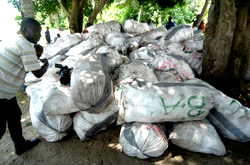 Customs impounds N21m tramadol, cannabis in Sokoto