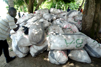 Cannabis most trafficked drug in Nigeria ― Report