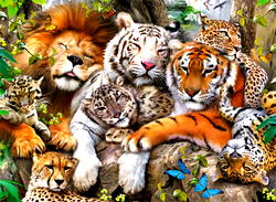 World Wildlife Day: Obaseki harps on preservation, better programmes on diversity