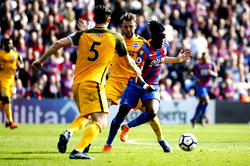 Hodgson extends Palace stay until 2020