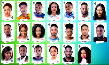 MultiChoice, BBNaija and N5.1b Fiction