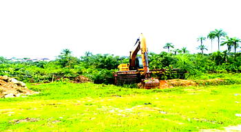 Cross River community invokes deity to stop $1bn Virgin City Project