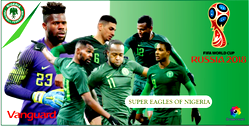 Eagles’ll do wonders in Russia — Akinwunmi