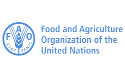 UN says food system adds $10trn in hidden costs