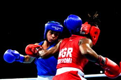Boxing in Nigeria needs more promoters, official says