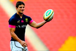 Van Zyl to quit Stade Francais to run family farm