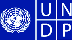 UNDP’s agricultural intervention programme to boost rice production in Nigeria