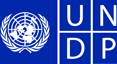 UNDP’s agricultural intervention programme to boost rice production in Nigeria