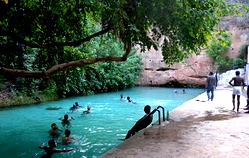Reports of death in Yankari Games Reserve are false, dirty- Bauchi State Govt