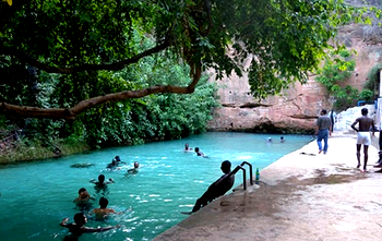 Reports of death in Yankari Games Reserve are false, dirty- Bauchi State Govt