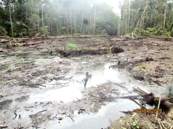 APOI: Agony of a Bayelsa oil spill ravaged community