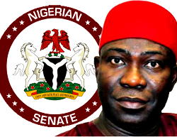 Ekweremadu secures LGA for Atiku in Enugu