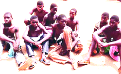 Over 50 suspected cultists from Rivers arrested in Imo