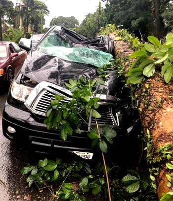 Breaking: Tree falls on moving Rivers APC scribe’s car