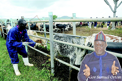In Benue now, ranching is it!