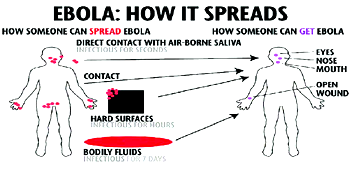Ebola outbreak spreads in DRC – WHO, UNHCR warn