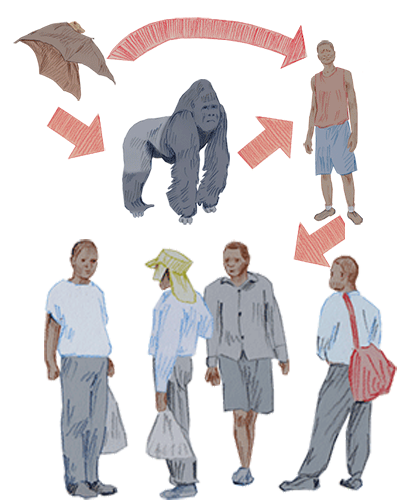 DRCongo prepares for first Ebola vaccinations