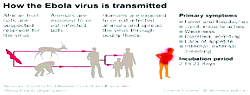 Insurance products for Ebola, Meningitis, Lassa fever underway