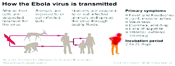 Insurance products for Ebola, Meningitis, Lassa fever underway