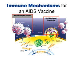 81,481 persons live with HIV in Ondo — NACA