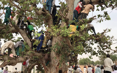 2019: Nasarawa APC stakeholders endorse Buhari for 2nd term