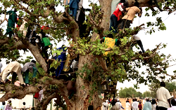 500 PDP members defect to APC in Jigawa