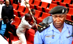 Mace theft, IGP/Senate face-off: Poilce transfer NASS DPO to Adamawa