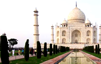 Insects overrun India’s iconic Taj Mahal – Court
