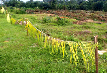 $1bn Virgin City project: We are on the verge of losing our heritage — Community clan heads