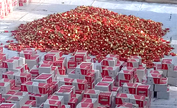 Army intercepts 3 trucks with 300, 000 live cartridges in Ogun
