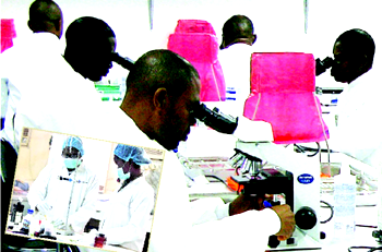 Research uncovers soap from multipurpose plant, jatropha curcas