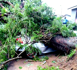 NiMet predicts Dutse, Nguru  and Zaria thunderstorms, rain for Tuesday