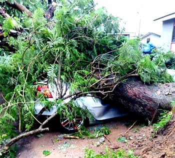 NiMet predicts Dutse, Nguru  and Zaria thunderstorms, rain for Tuesday