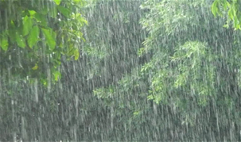 Lagos records its first rainfall