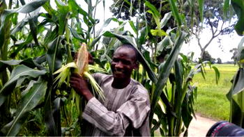 WORLD AGRIC DAY: Nestlé collaborates with IFDC to addresses food quality, empowers famers