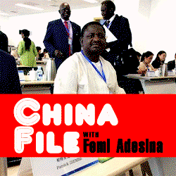 Similitudes between Nigeria and China – Femi Adesina