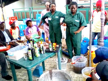 Institute trains Ndokwa farmers on plantain, pineapple mgt