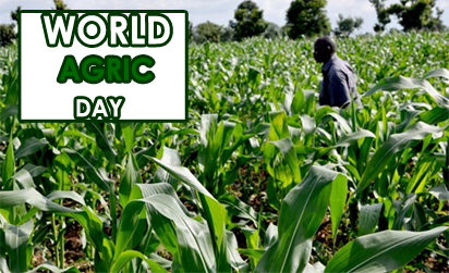 World Agric Day: Institute seeks review of curricula in agric varsities