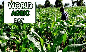 World Agric Day: Institute seeks review of curricula in agric varsities