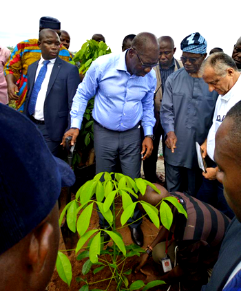 Gov Obaseki plants first tree in N5bn Urhonigbe Rubber Plantation