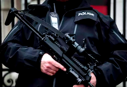 Police detain bird for killing owner