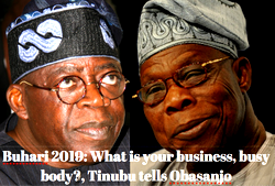 Buhari 2019: What is your business, busy body?, Tinubu tells Obasanjo