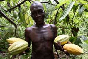 Climate change major threat to agricultural development – Expert
