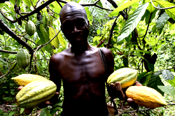 Group urges FG to pay more attention to agriculture